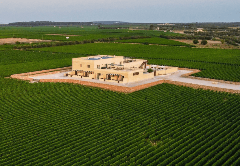 The Magic of Puglia 2026 - Image 21