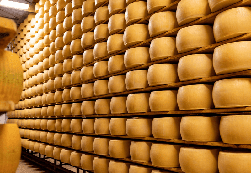 Northern Italy Program 2026 - Image 15