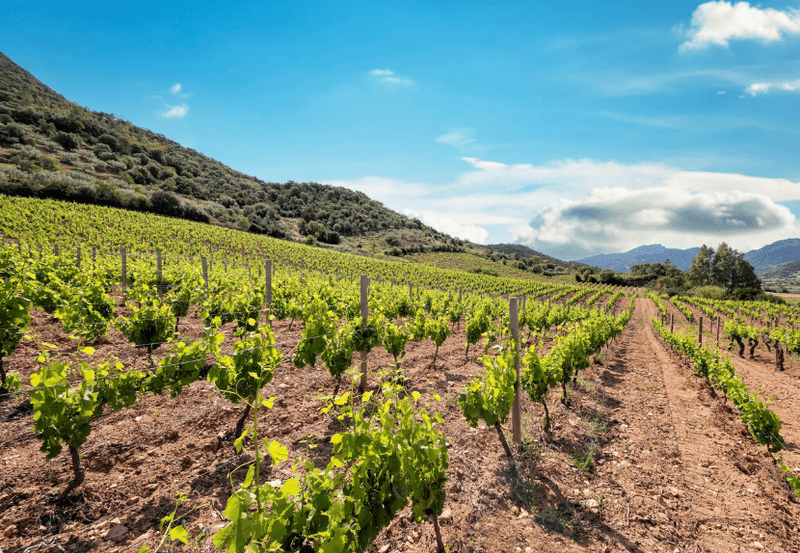 Secrets of Sardinia 2027 - Image 16