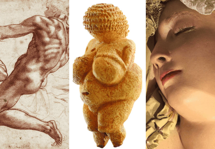 ONLINE HISTORY COURSE | "House of Wax: The History of Anatomical Models as Works of Art and Medicine" with Dr. Jeremy Wasser LIVE COURSE