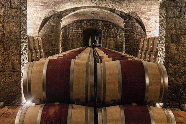 Thanksgiving in Florence 2025 - Image 29