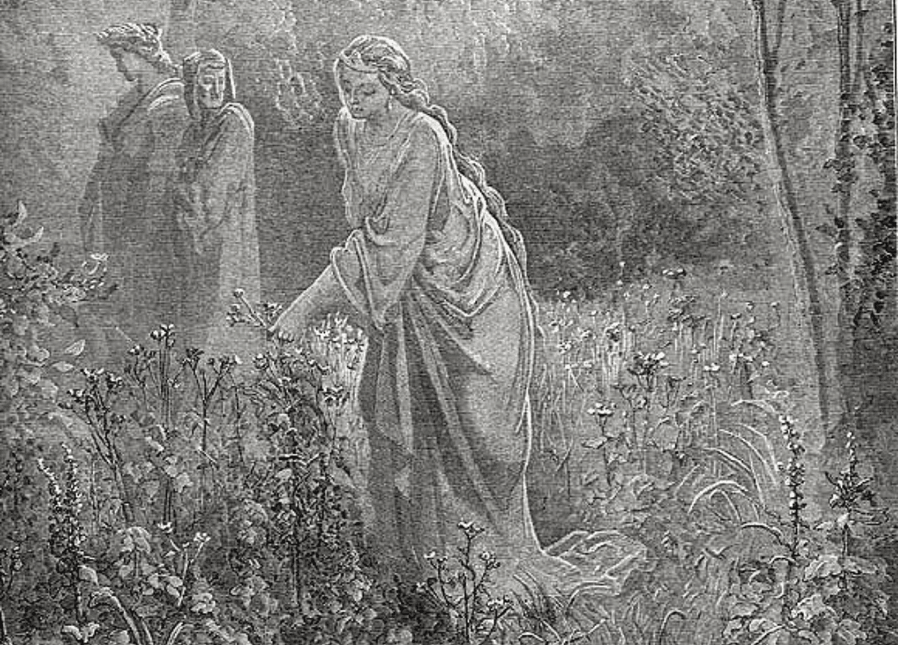 ONLINE LITERATURE COURSE | "The Hill We Climb": Dante’s Purgatory for the 21st Century Reader with Dr. Kristin Stasiowski LIVE COURSE - Image 4