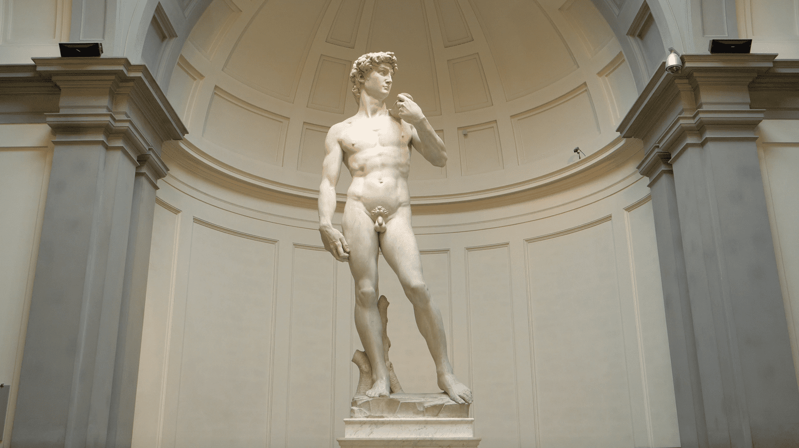 Il Gigante: Michelangelo and the Statue of David
