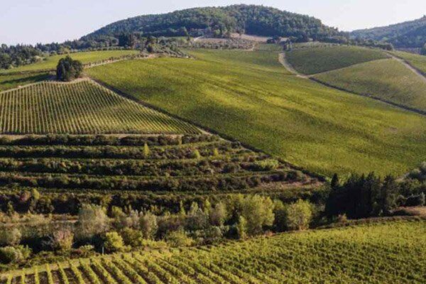 A Renaissance New Year in Florence 2026/2027 - Image 27