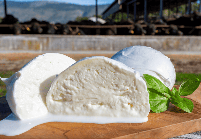 Mozzarella di Buffalo