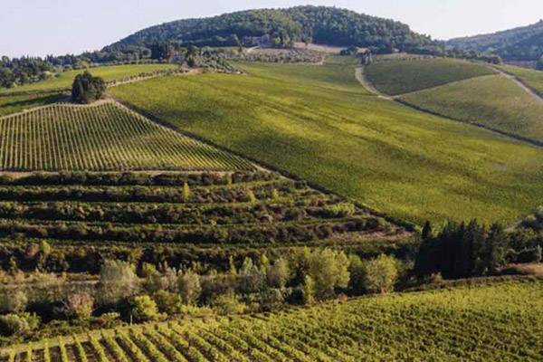 A Renaissance New Year in Florence 2026/2027 - Image 27