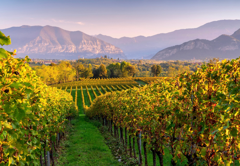 TRAVEL PROGRAM | "Italian Lakes 2027" - Image 33