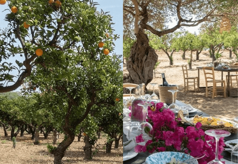 Thanksgiving in Sicily 2027 - Image 13